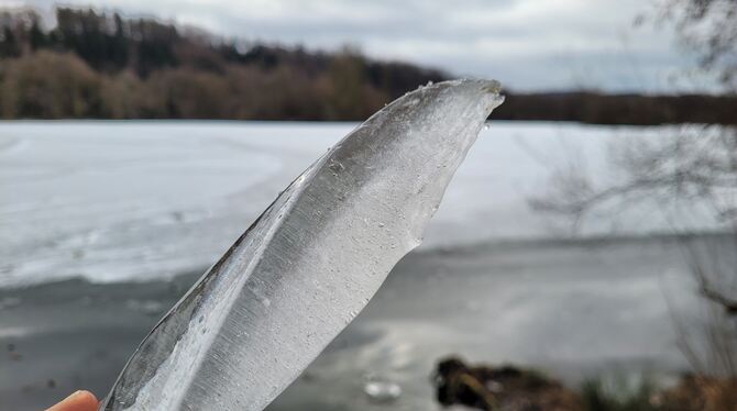 Eine Eisdecke gibt es auch auf dem Kirchentellinsfurter Baggersee.  FOTO: THOMYS