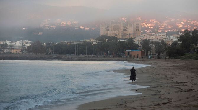 Trends 2026 Trends 2026