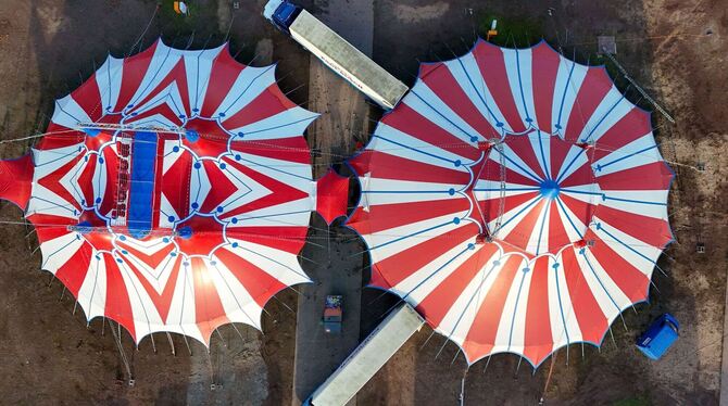 Trends 2026 Trends 2026