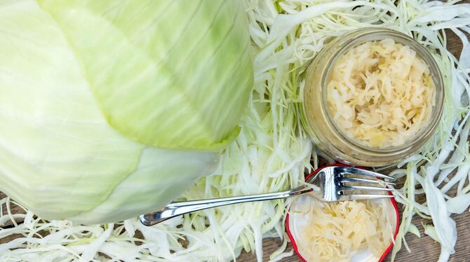 Trends 2026 Trends 2026