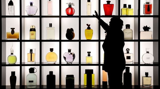 Trends 2026 Trends 2026