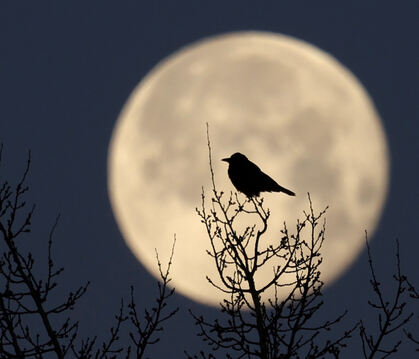 Der Mond ist schuld, wenn Diät-Pläne platzen. Wer auch sonst?