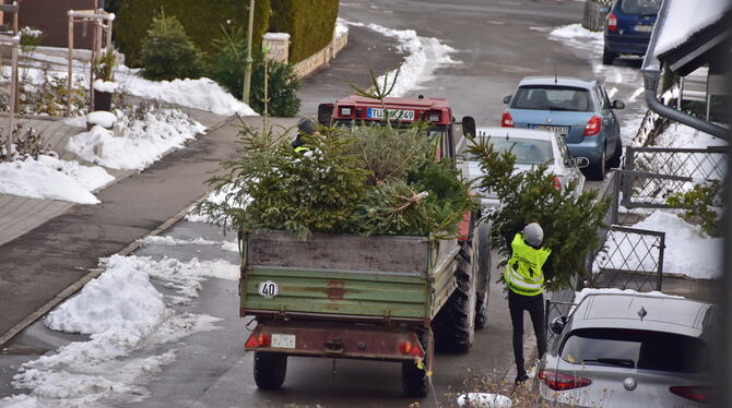 In vielen Gemeinden finden Sammelaktionen für Weihnachtsbäume statt, hier sind Helfende des CVJM in Belsen aktiv. FOTO: MEYER
