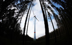 Windrad und Wald: auch auf Metzinger Markung kann beides möglich sein.