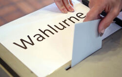 Am 8. März wird in Baden-Württemberg der Landtag gewählt.