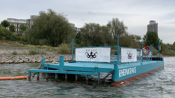 Müllfalle Rheinkrake Müllfalle Rheinkrake