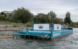 Müllfalle Rheinkrake