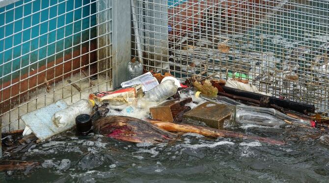 Untersuchung: Im Rhein treibt viel mehr Müll als gedacht Untersuchung: Im Rhein treibt viel mehr Müll als gedacht