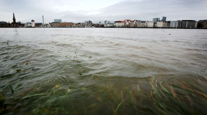 Rheinwasser Rheinwasser