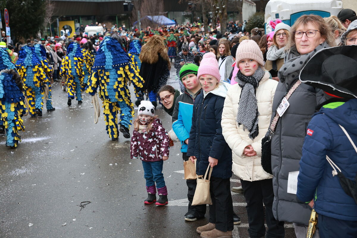 Fasnet_Pfullingen_diet_110126__34