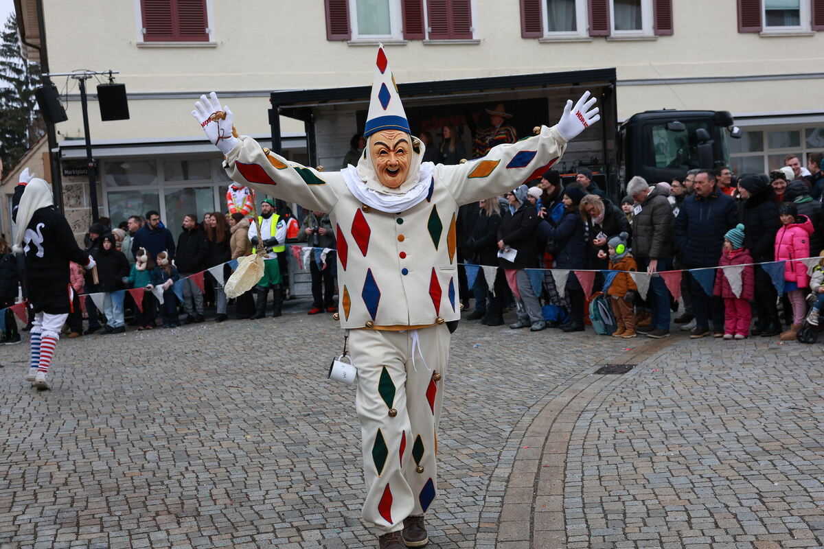 Fasnet_Pfullingen_diet_110126__48