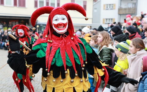 Fasnet_Pfullingen_diet_110126_