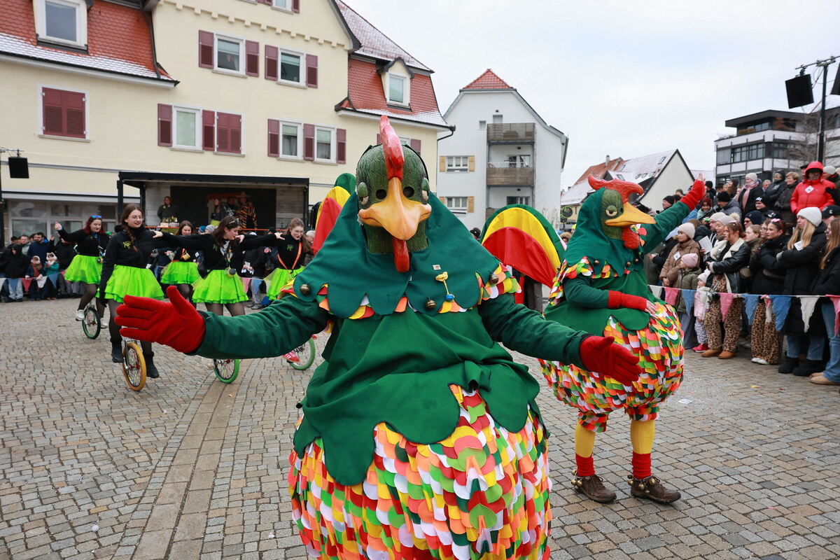 Fasnet_Pfullingen_diet_110126__04