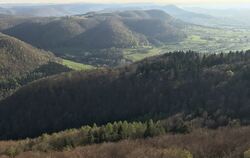 Viel Mössinger Wald befindet sich am Albtrauf. Die Bewirtschaftung ist deshalb aufwendig und teuer.