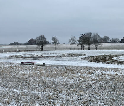Ein Unbekannter driftete mehrere Runden mit seinem Auto auf dem Sportplatz in Seebronn.