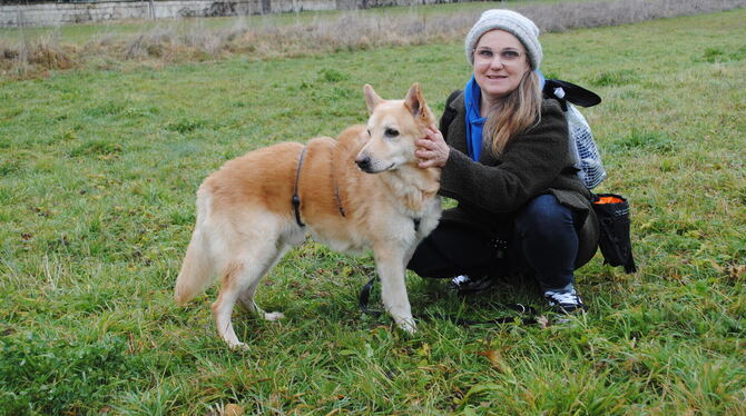 Hachiko sucht ein liebevolles Zuhause. Wer den Rüden adoptieren möchte, kann Carmen Richter unter kontakt@albpfoten-hundeschule.