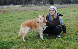 Hachiko sucht ein liebevolles Zuhause. Wer den Rüden adoptieren möchte, kann Carmen Richter unter kontakt@albpfoten-hundeschule.
