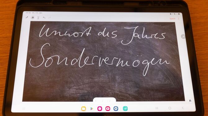 »Sondervermögen« ist »Unwort des Jahres« 2025