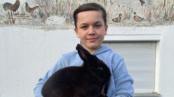 Kleintierzuchtverein Mössingen Kaninchen Leipp Der zwölfjährige Maximilian Leipp ist mit seinen gezüchteten Havanna-Kaninchen deutscher Jugendmeister geworden.