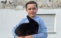 Der zwölfjährige Maximilian Leipp ist mit seinen gezüchteten Havanna-Kaninchen deutscher Jugendmeister geworden.