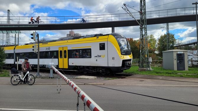 Inzwischen ein eher seltener Anblick: Ein Zug auf der Ammertalbahn.