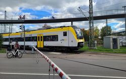 Inzwischen ein eher seltener Anblick: Ein Zug auf der Ammertalbahn.