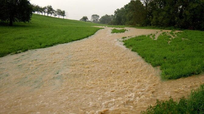 Das Wasser fließt, wie es will. Hier hat es sich seinen Weg über die Wiese neben dem Fallenbach gesucht. Der kleine Bachlauf kan