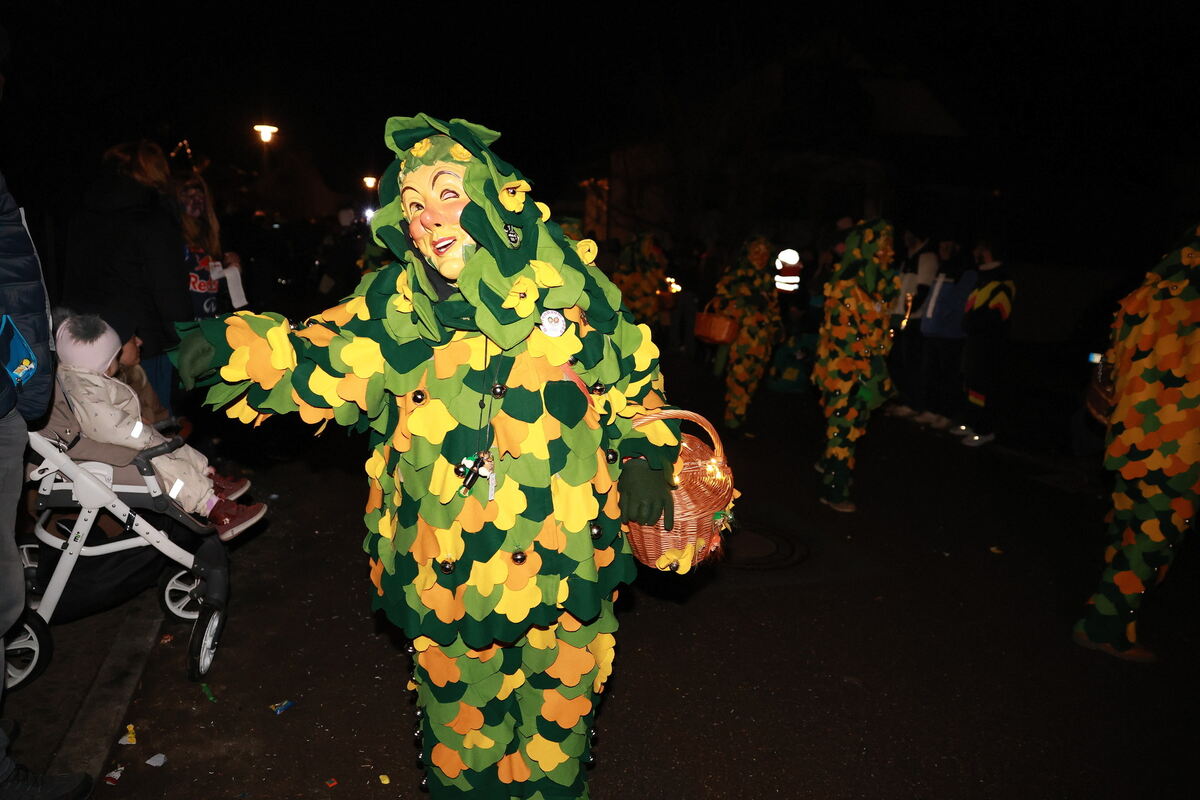 Fasnet-Umzug_Scheiterhau-Hexa_Genkingen_diet_170126__46