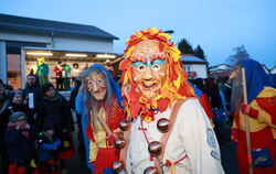 Die Narren zogen am Sprecherwagen vorbei mit Landrat, Bundes- und Landtagsabgeordnetem.