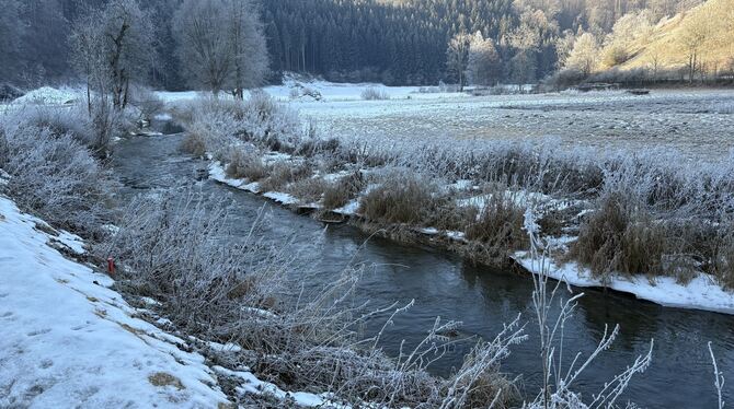Auch die Lauter wird im Biotopverbundplan berücksichtigt.