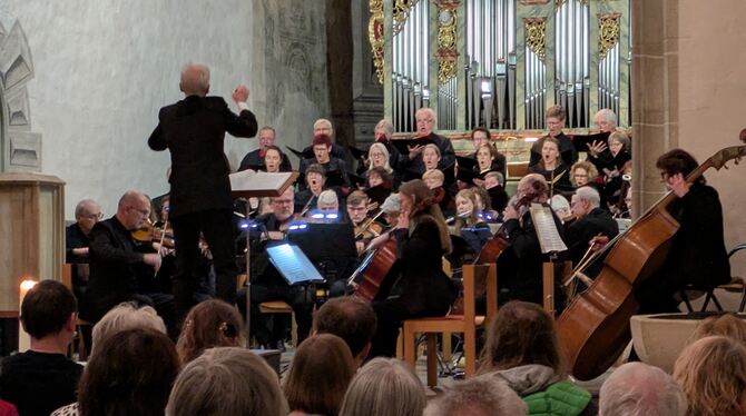 Der Konzertchor Molto Vocalis begeisterte mit seinem homogenen Klang.