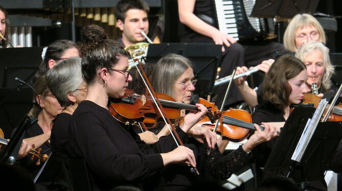 Das VHS-Orchester Dettingen bietet wieder eine große Bandbreite an Stilen.  FOTO: PR