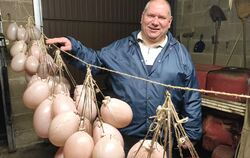 In Jürgen Otts Garage hängen 80 Saublodern an der Leine. Er hat sie nach einer speziellen Mathode präpariert.  FOTO: STRAUB