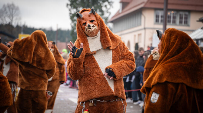 Ihr Refugium ist die Fasnet: Sondelfingens »Halda-Füchse« kommen in der Fünften Jahreszeit ganz groß raus.