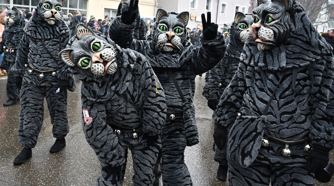 Betzinger Mühla-Katza werden beim Fasnetsumzug am kommenden Sonntag garantiert wieder ihr Unwesen treiben.