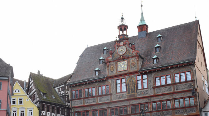 Nach einer emotionalen Debatte im Rathaus hat der Tübinger Gemeinderat den Haushalt beschlossen.