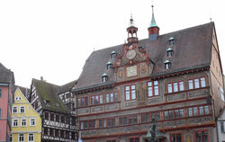 Nach einer emotionalen Debatte im Rathaus hat der Tübinger Gemeinderat den Haushalt beschlossen.