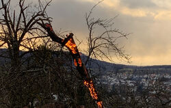 Ein Obstbaum stand Anfang Januar in Pfullingen in Flammen.