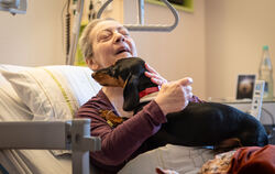 Dackel Nala erobert der Herzen der Palliativpatienten.