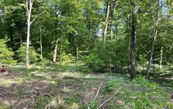 Auf dieser Fläche nahe des Hauptorts von Pliezhausen wuchsen im Schnitt 215 Jahre alte Eichen. Sie sind geerntet worden und mach