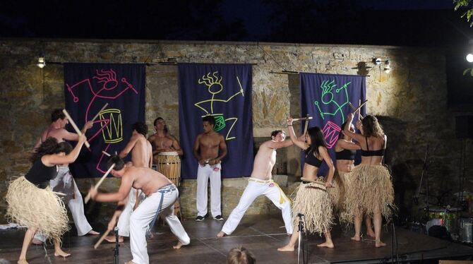 Die brasilianische Nacht im Gomaringer Schlosshof war einer der Höhepunkte im VHS-Programm des Jahrs 2014. GEA-ARCHIVFOTO: GOLZ