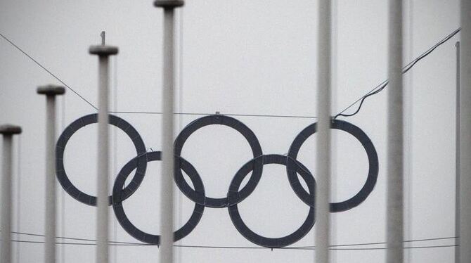 Hamburg oder Berlin - Wer das sich um die Olympischen Spiele 2024 und 2028 bewerben? Foto: Soeren Stache
