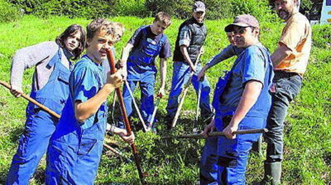 Weg mit dem Gestrüpp, damit die Wiese bleibt: sieben Jes-Projekt-Teilnehmer im Blaumann mit Mentor Michael Nehring (rechts).
FOTO: PFI Weg mit dem Gestrüpp, damit die Wiese bleibt: sieben Jes-Projekt-Teilnehmer im Blaumann mit Mentor Michael Nehring (rechts).
FOTO: PFI