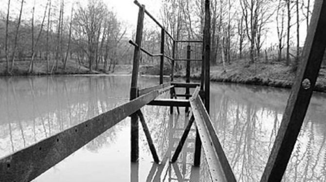 Für die Schönheit der Vergänglichkeit interessieren sich beim Floriansee allenfalls Romantiker. Die Leute vom Fischereiverein Ermstal sorgen sich um die Verschlammung ihres Gewässers. Der obere ist inzwischen leergepumpt und die Bäume am Ufer gefällt. Jetzt muss er noch austrocknen. Der untere See (Bild) steht noch voller Wasser.
FOTO: FINK