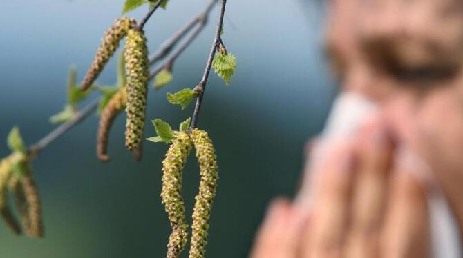 Obwohl der Frühling noch nicht richtig da ist, sind einige Allergiker schon pollengeplagt. Foto: Karl-Josef Hildenbrand