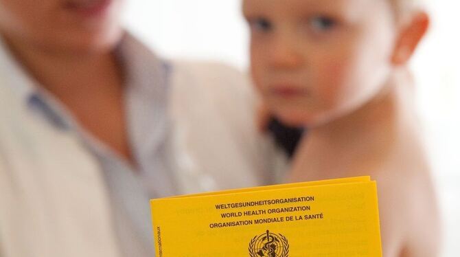 In den Impfpass werden sämtliche Impfungen eingetragen. Auch die gegen Frühsommer-Meningoenzephalitis (FSME) und Grippe. Der Arzt kann einen Erinnerungseintrag machen, wann welche Impfung aufgefrischt werden muss.  FOTO: DPA