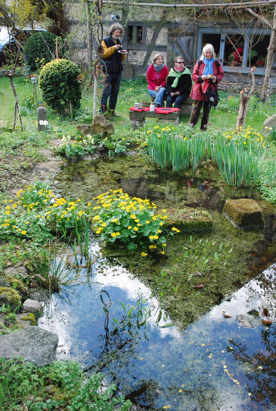 Pflanzentauschtag und offener Frühlingsgarten in Mössingen. Fotos: Angela Steidle