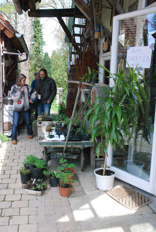 Pflanzentauschtag und offener Frühlingsgarten in Mössingen. Fotos: Angela Steidle