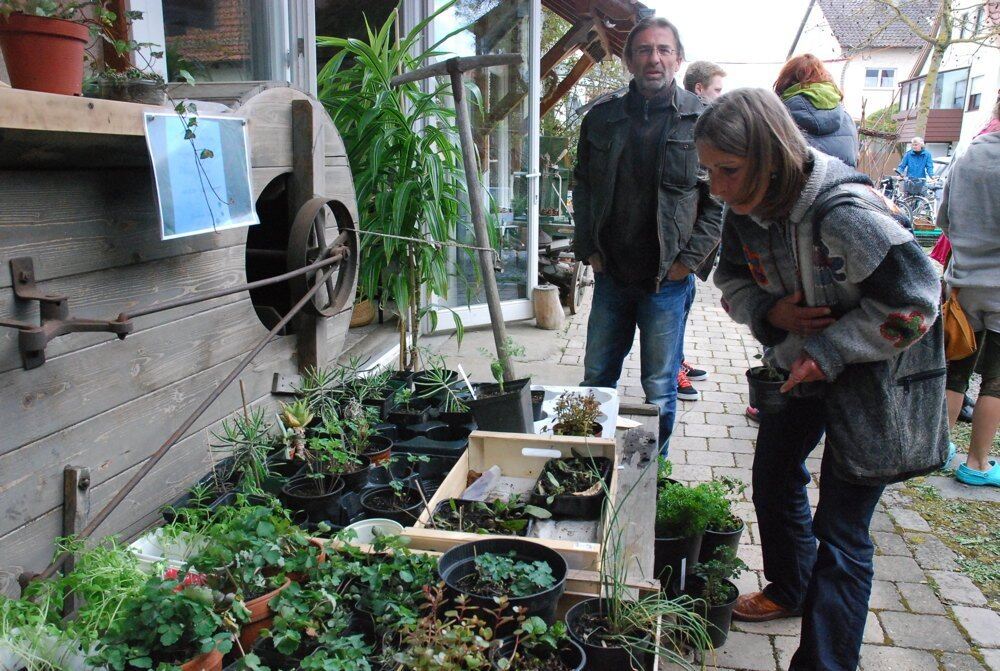 Pflanzentauschtag und offener Frühlingsgarten in Mössingen. Fotos: Angela Steidle