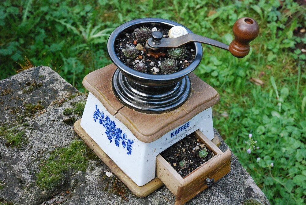 Pflanzentauschtag und offener Frühlingsgarten in Mössingen. Fotos: Angela Steidle